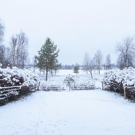 Arctic Loft Rovaniemi Kültér fotó