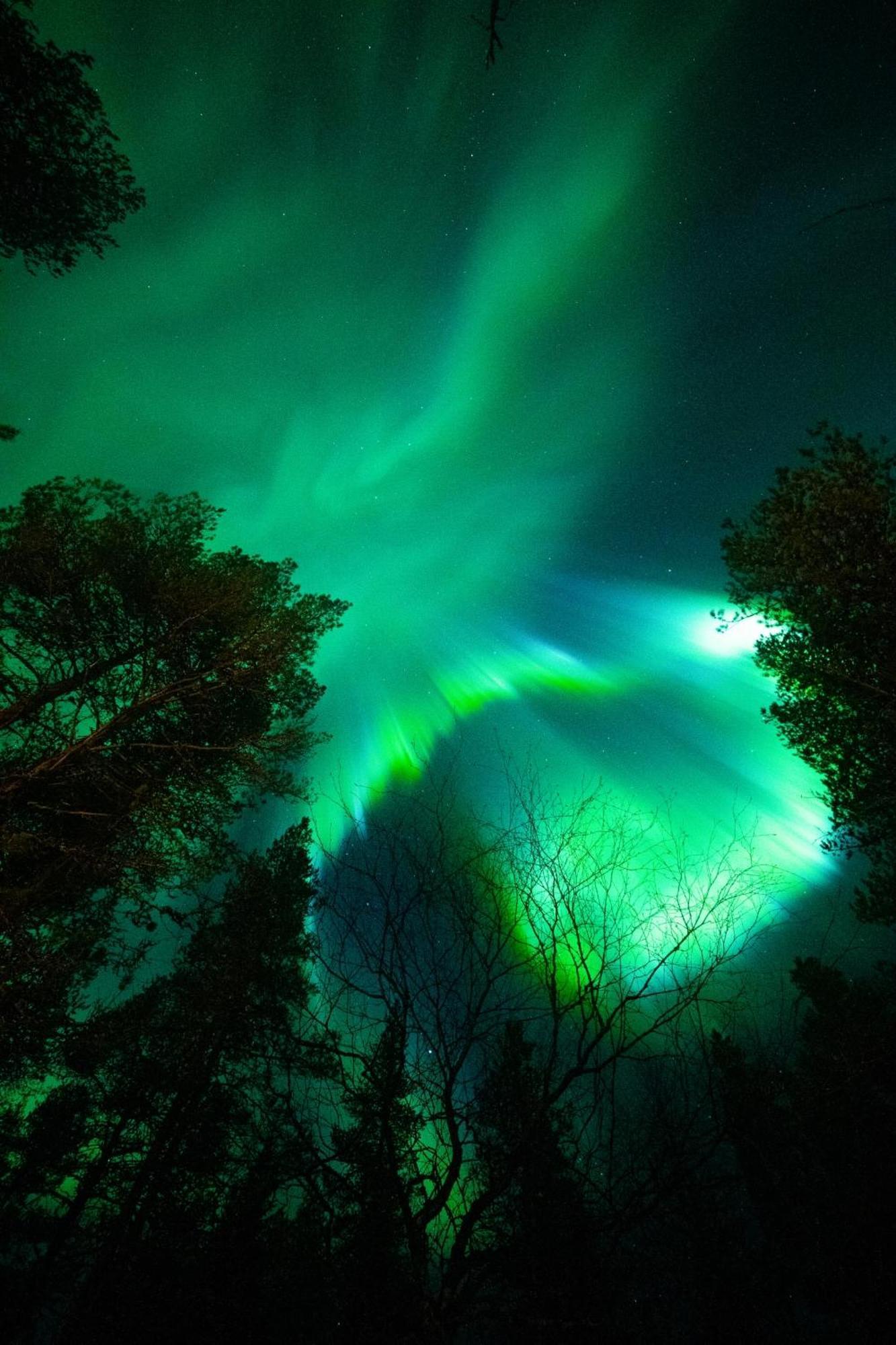 Arctic Loft Rovaniemi Kültér fotó